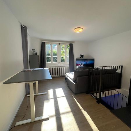 Blick Auf Schwarzen Turm - Freihofapartments Brugg  Dış mekan fotoğraf